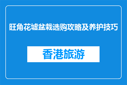 旺角花墟盆栽选购攻略及养护技巧(旺角花墟盆栽选购与养护技巧指南)