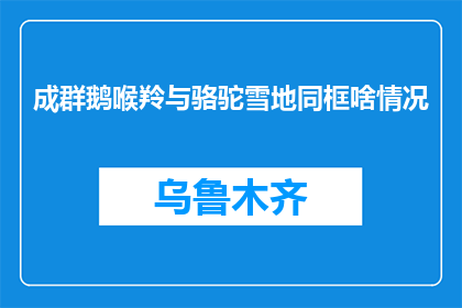成群鹅喉羚与骆驼雪地同框啥情况(鹅喉羚与骆驼在雪地共舞，这画面是何景象？)