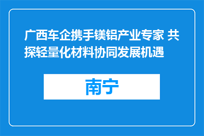 广西车企携手镁铝产业专家 共探轻量化材料协同发展机遇