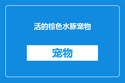 活的棕色水豚宠物(活的棕色水豚宠物：您是否考虑过拥有一只可爱的动物朋友？)