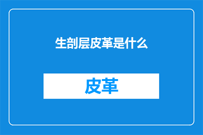 生剖层皮革是什么(什么是生剖层皮革？)